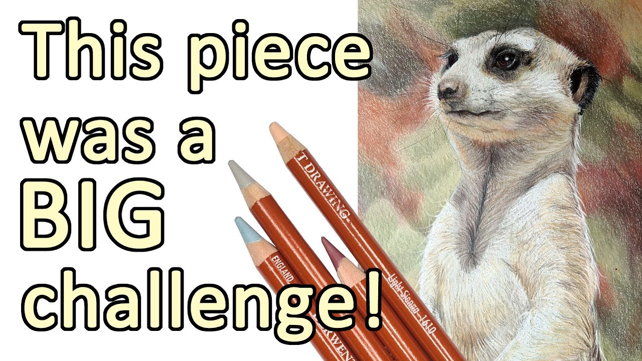 EXPERIMENTING - Trying Derwent Drawing pencils on a new paper, how to blend and draw fur