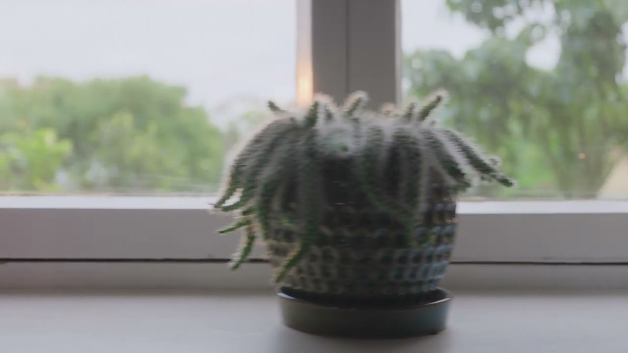 8 King Street, LYNDOCH, South Australia