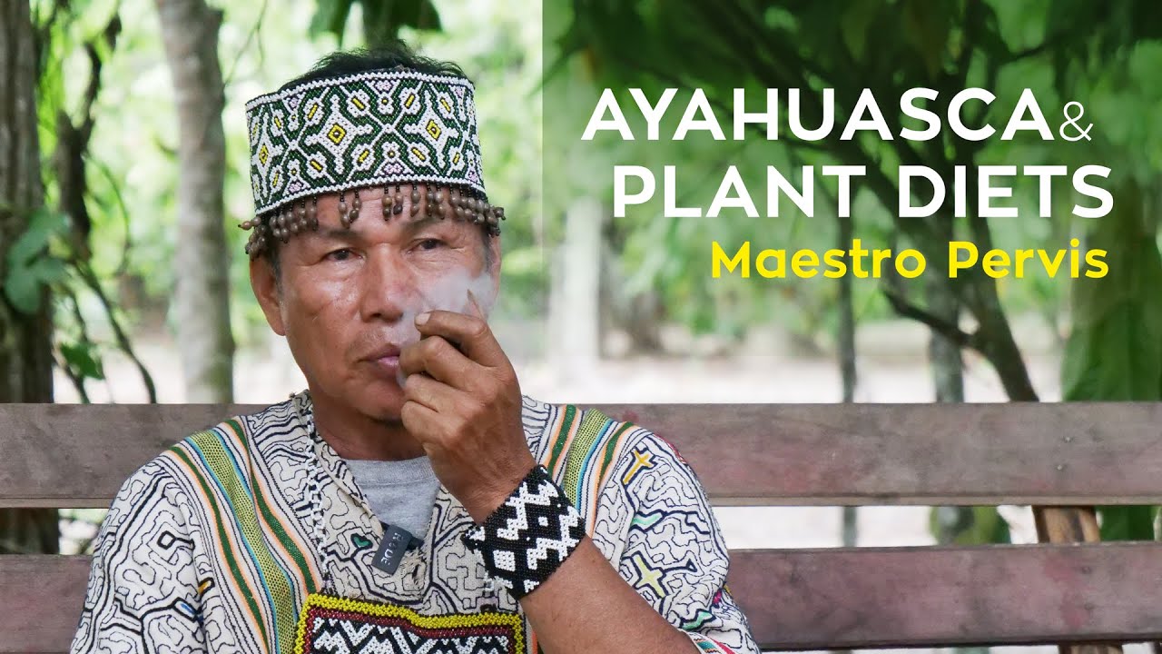 Interview with Maestro Shipibo Pervis Urquia - Ayahuasca & Plant Diet (Dieta)
