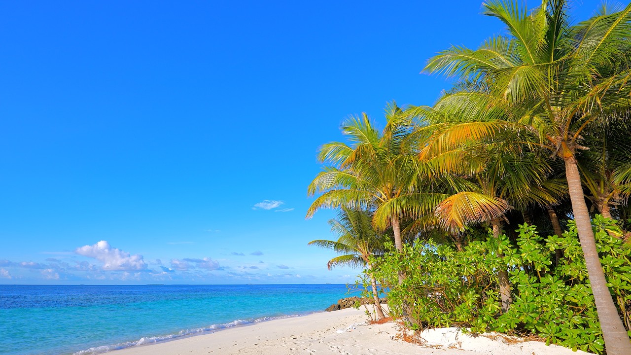 🏝 Ocean Sounds For Deep Sleeping With Rolling Waves. Maldives Beach & Gentle Ocean Waves 4K