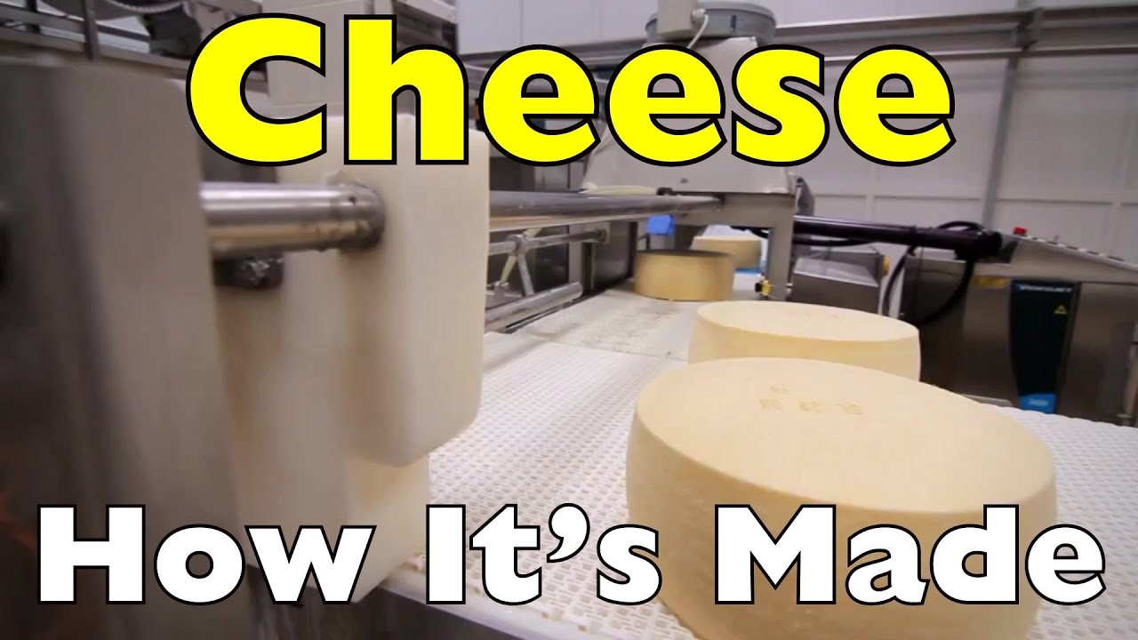 How Is Cheese Made?