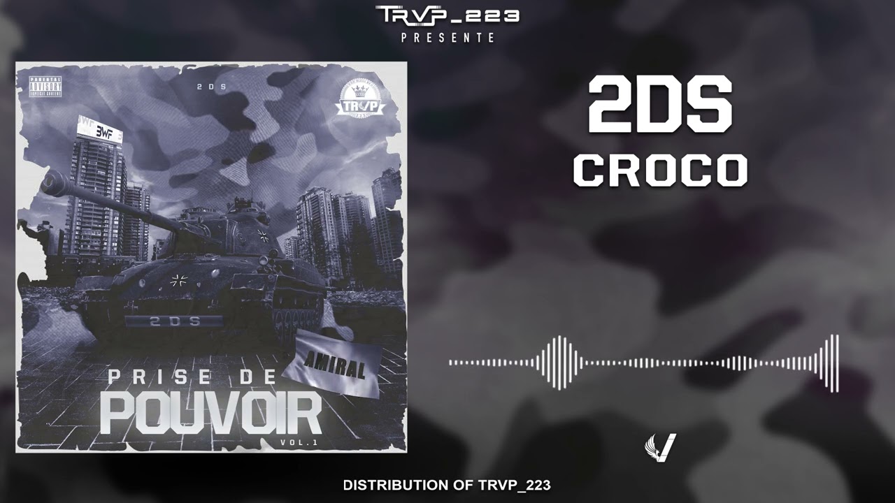 2DS  - CROCO