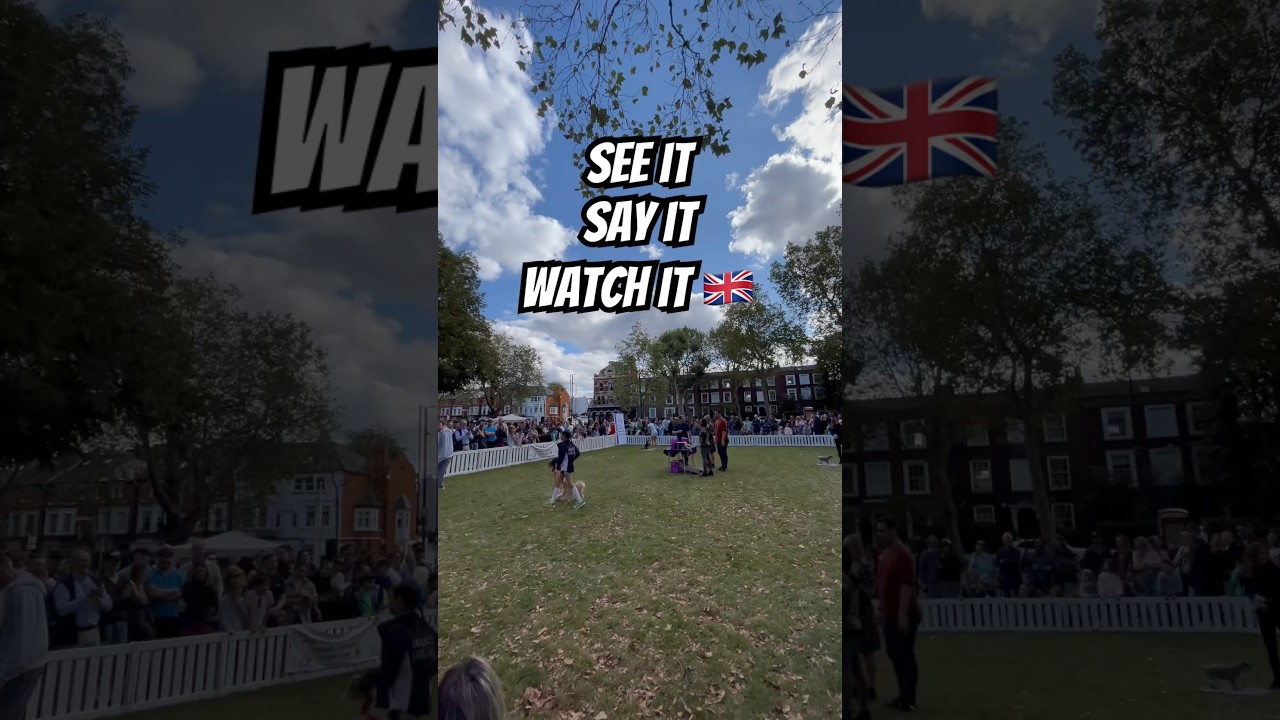 Full Episode is on air #see #it #say it #watch it 🇬🇧 #omiwalk #london #londontour #shorts