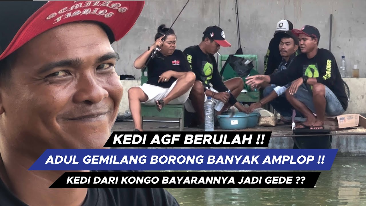BORONG AMPLOP !! KEDI ADUL GEMILANG SAMPE KEWALAHAN !! DARI KONGO BANYAK BONUS  || AGF49