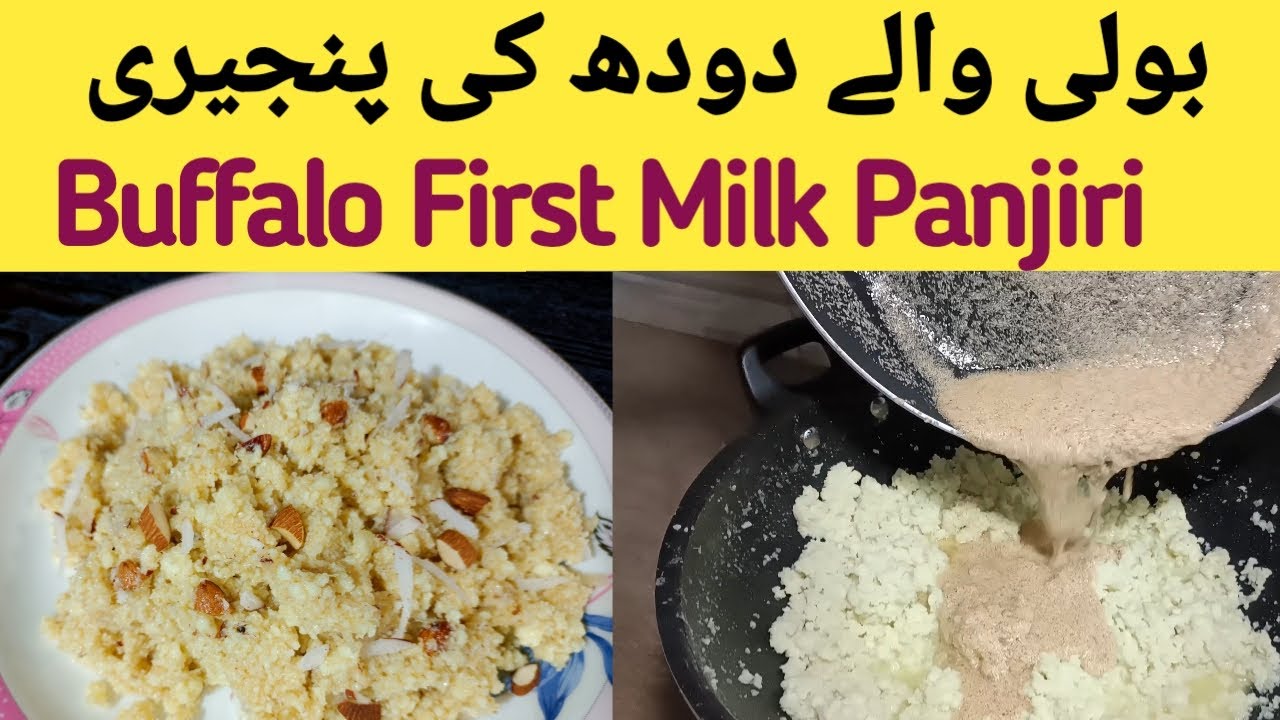 Buffalo First Milk Panjiri | Boli ki Recipe | Bwp Desi Tarka