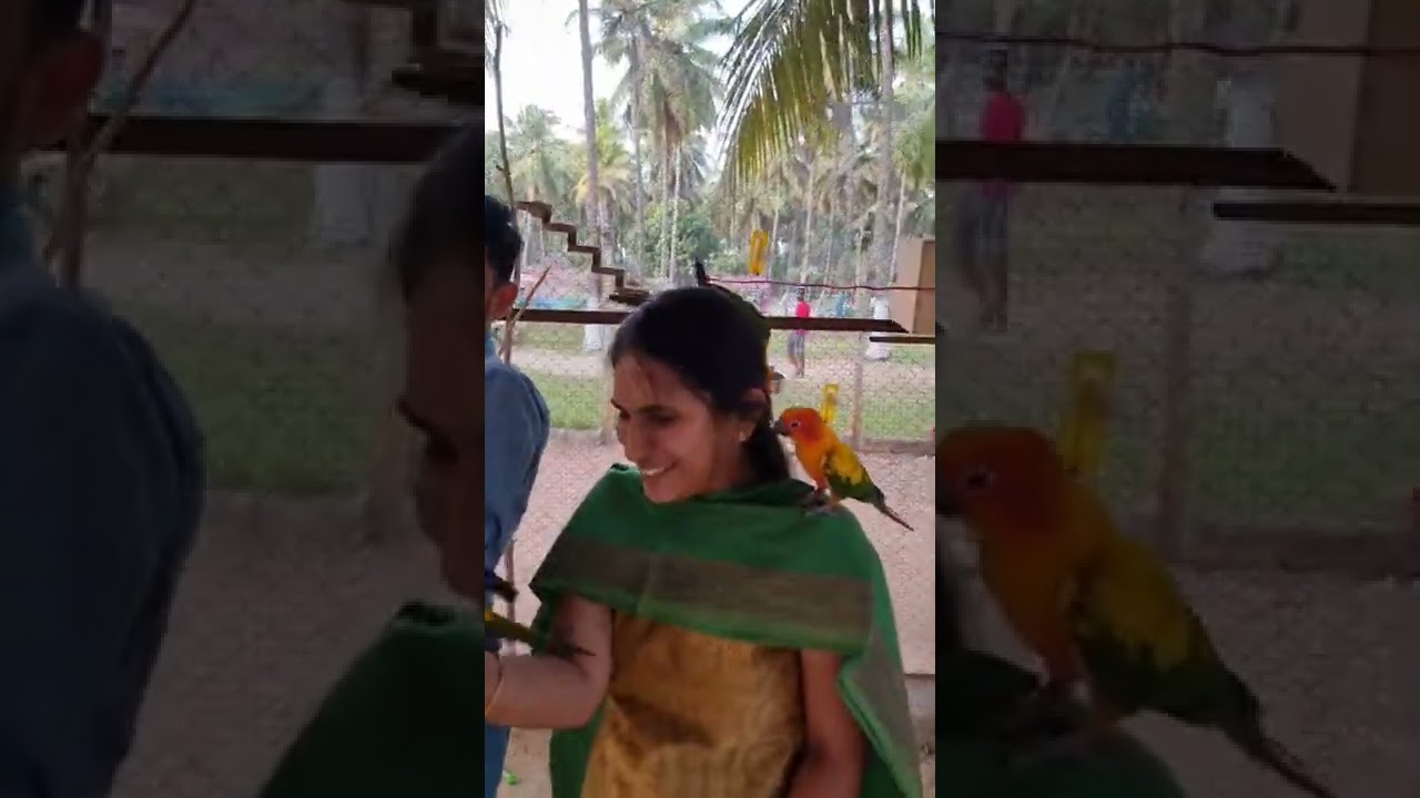 PN Farm Customer Enjoying Mini Bird Aviary on 14.01.22