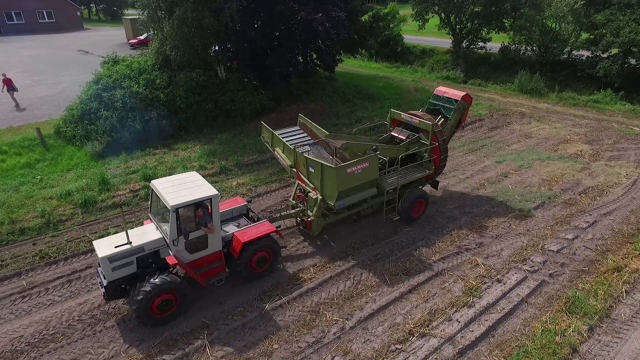 MB-Trac Power in der Kartoffelernte/Bergmann/Norddeutschland