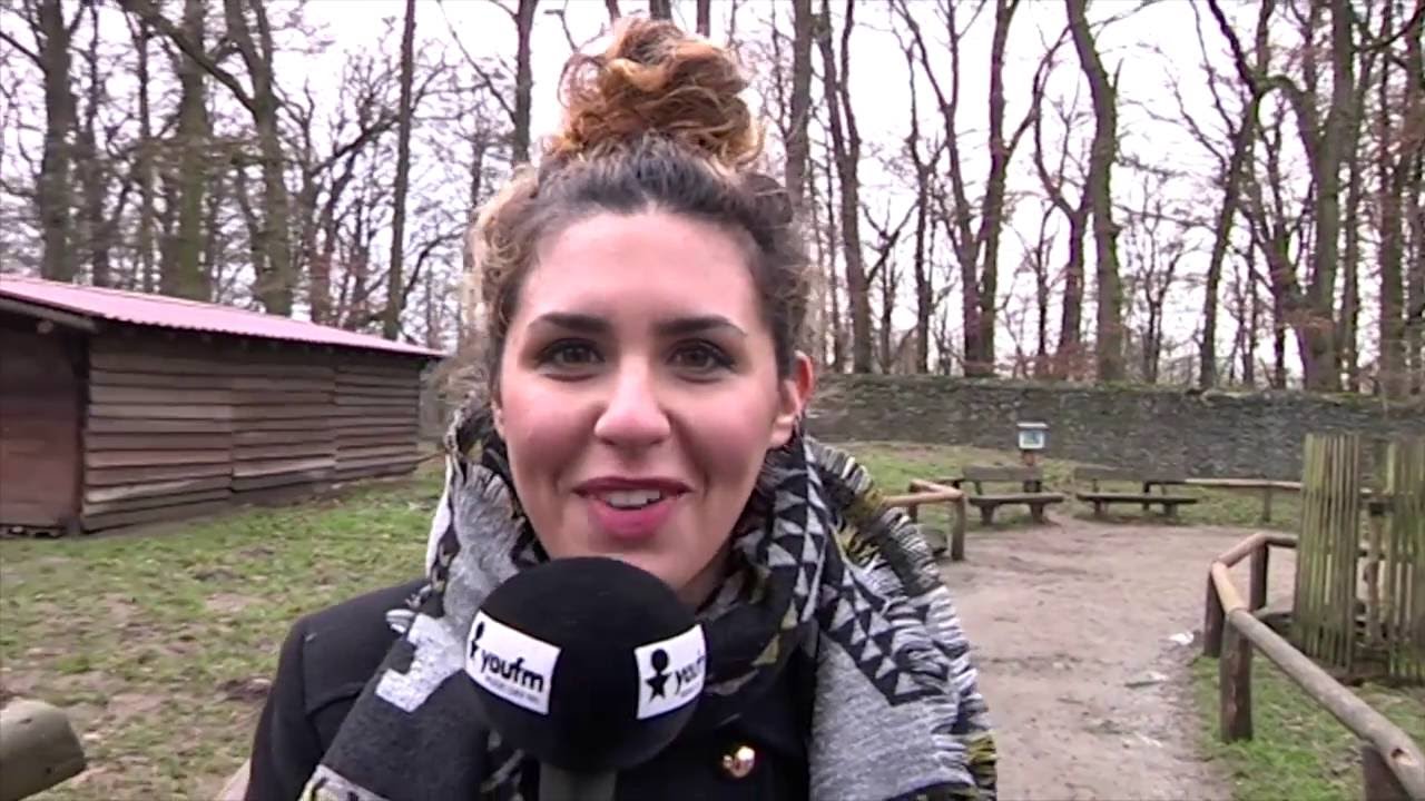 Ariana Baborie - 2016