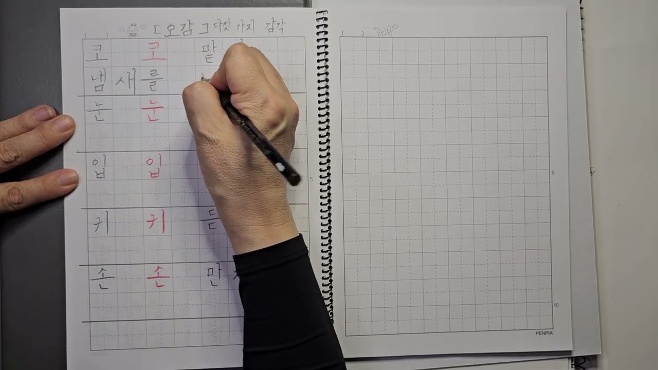 [285] 한글공부-오감(8칸)#한글#Hangeul#한국어#korean#4B연필#한글예쁘게쓰기#LearningKorean