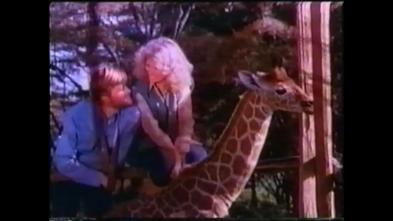THE LAST GIRAFFE- FULL MOVIE - KENYA- GIRAFFE MANOR