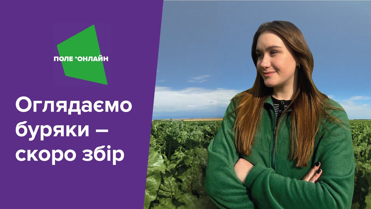 Фітосанітарний стан і прогнозована врожайність буряків