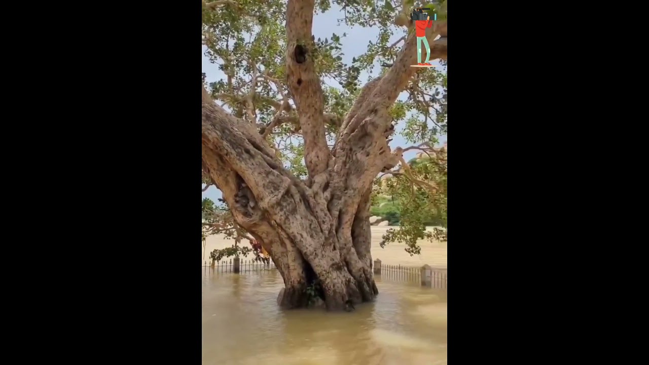 #UNESCO #WorldHeritage Site #Hampi