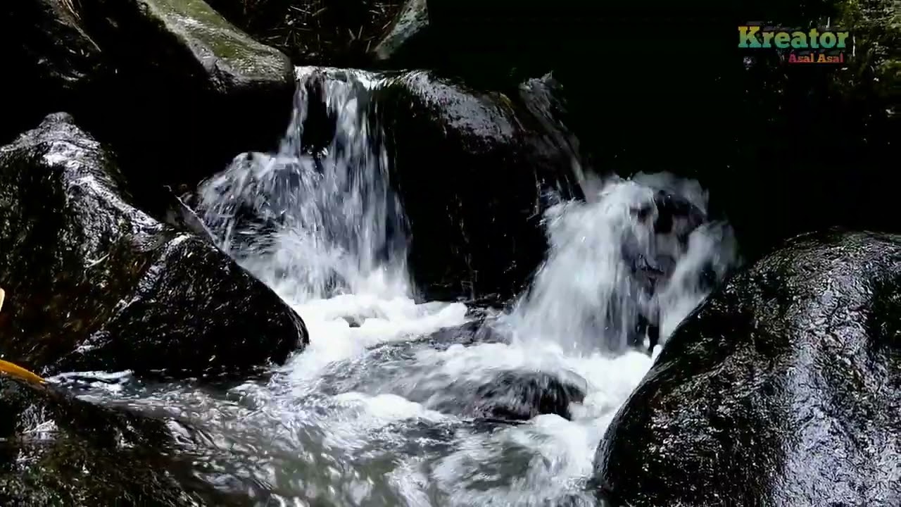 “Relaxing Water and Frog Sounds”  “The sound of running water and frogs”