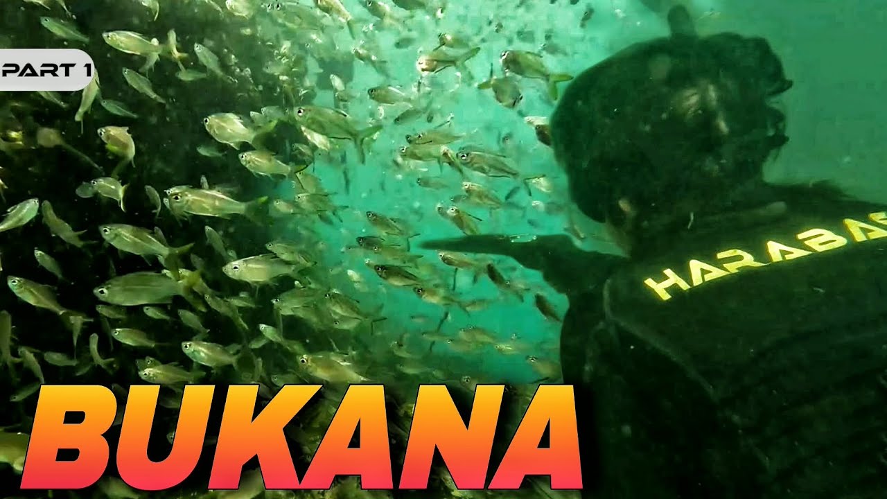P1 - PANA SA BUKANA - EP2222