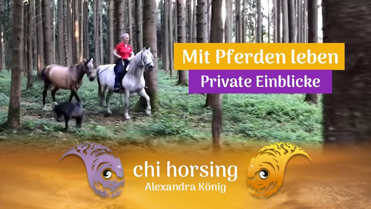 Mit Pferden leben: Chi horsing mal ganz privat