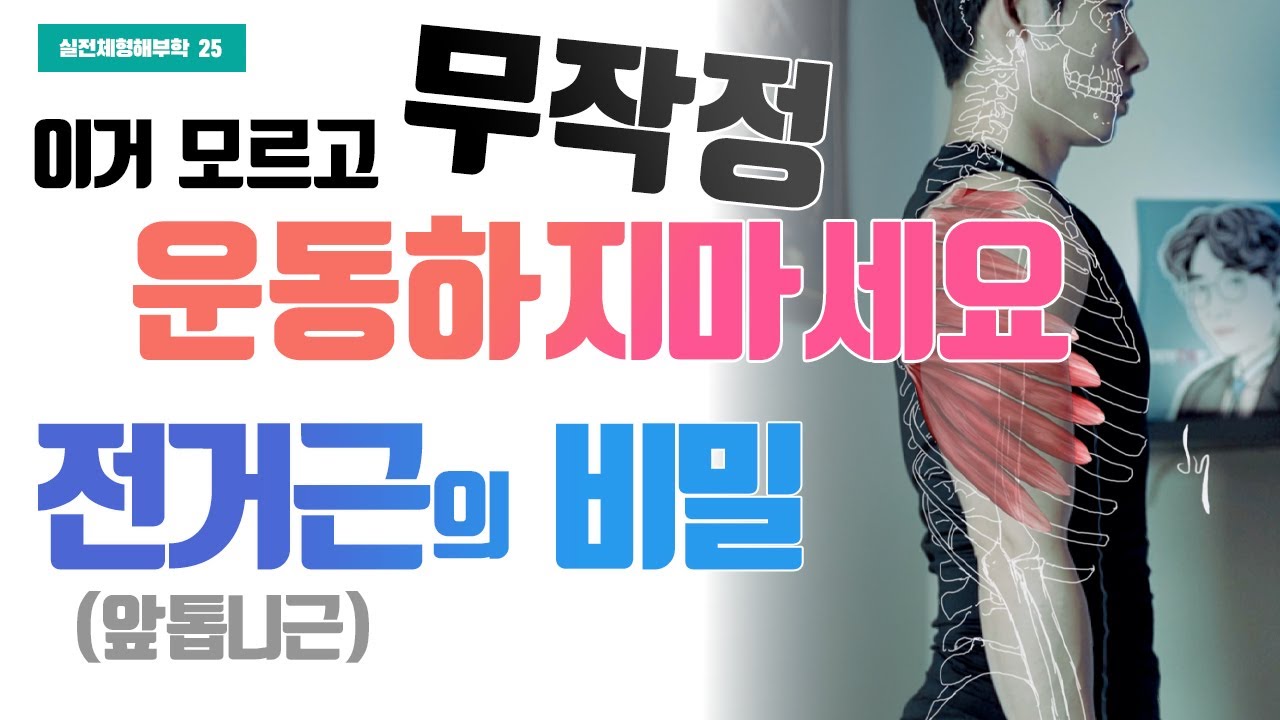 전거근의 비밀. 이거 모르고 무작정 운동하지 마세요. (실전체형해부학 25. 앞톱니근)