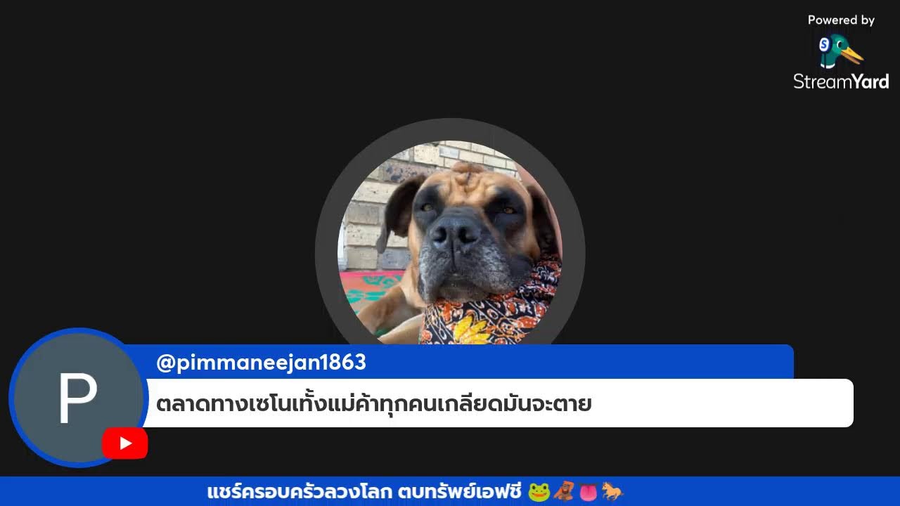 สมเพชความคิดกะคำเว้าที่พ่นออกมาแต่ล่ะคำ 🐸🦧👅🐴