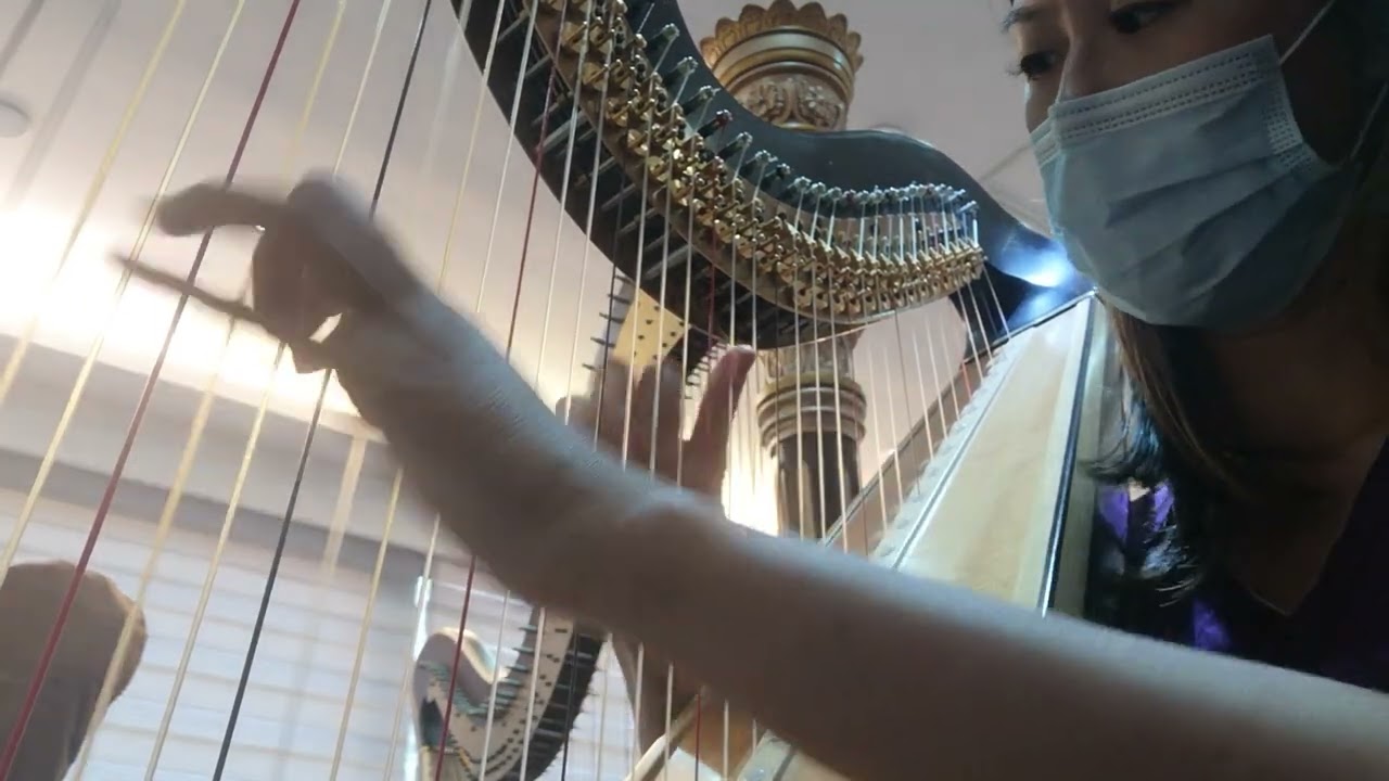 Lyon and Healy Salzedo Concert Grand Pedal Harp
