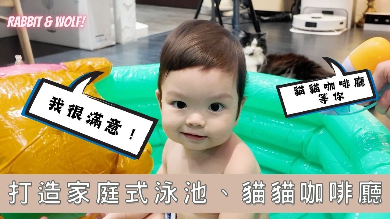 打造家庭式泳池與貓貓咖啡廳｜炎炎夏日的帶娃好選擇｜兔女狼