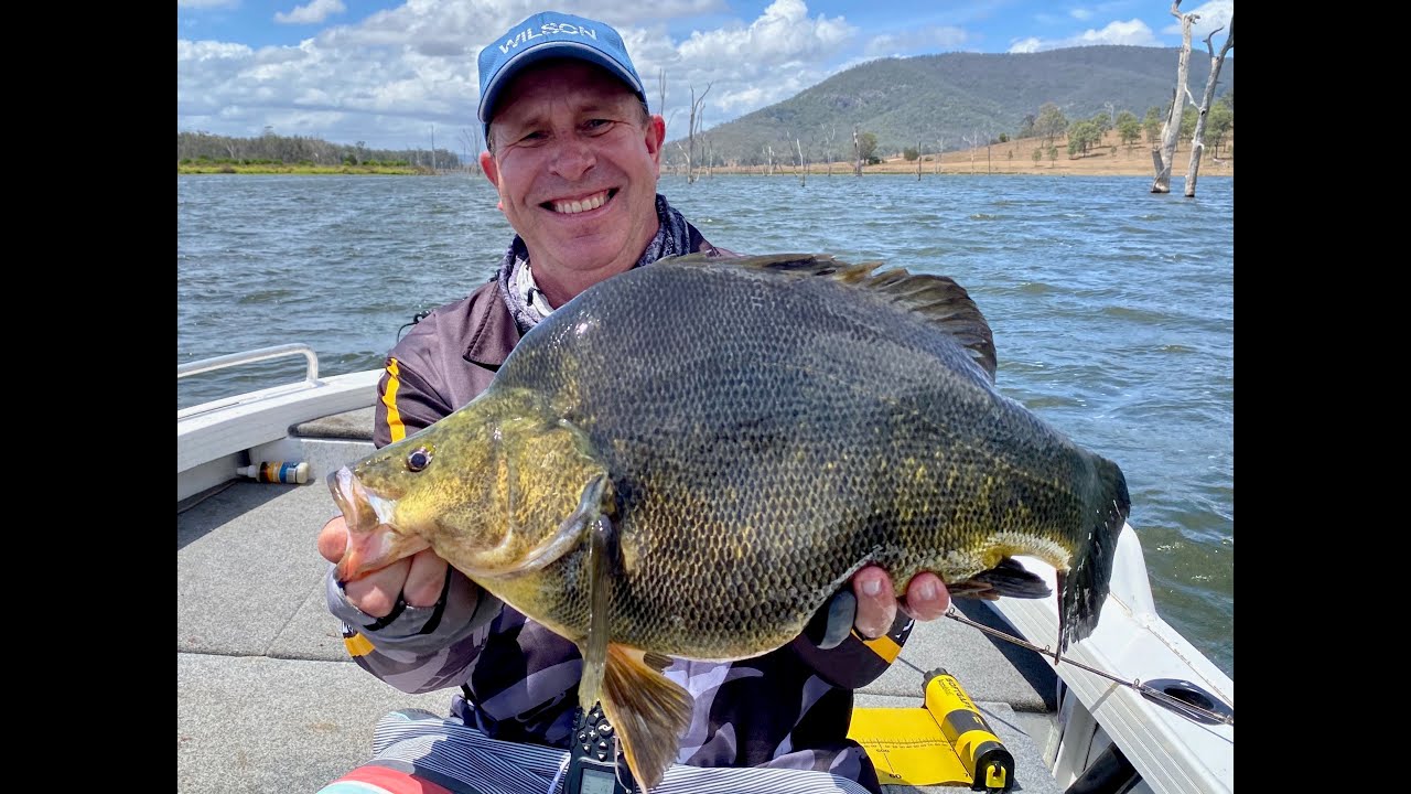 Рыбалка PTP - PB Golden Perch Somerset Dam