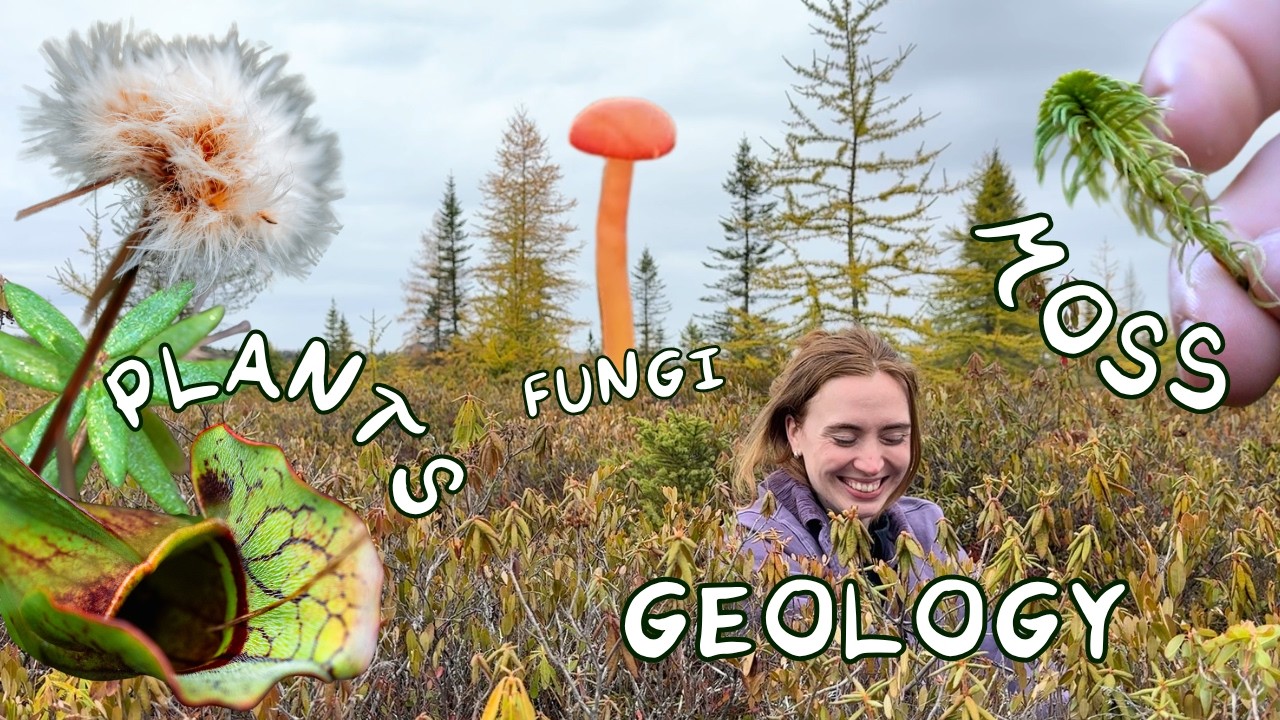 I'm obsessed with bogs (and you should be too)