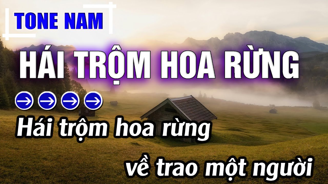Hái Trộm Hoa Rừng Karaoke Tone Nam ( Em ) Beat Mới | Karaoke Đăng Khôi