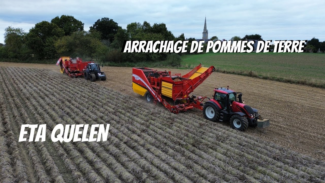 Récolte de pommes de terre avec 2 arracheuses GRIMME | ETA QUELEN