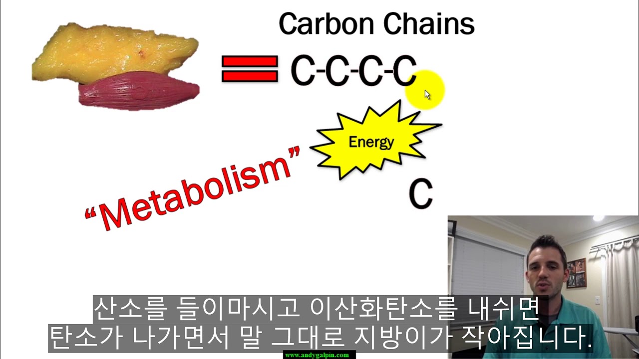 지방 감소를 생리학적 관점에서 알아보기 (ft. 앤디 걸핀 박사)