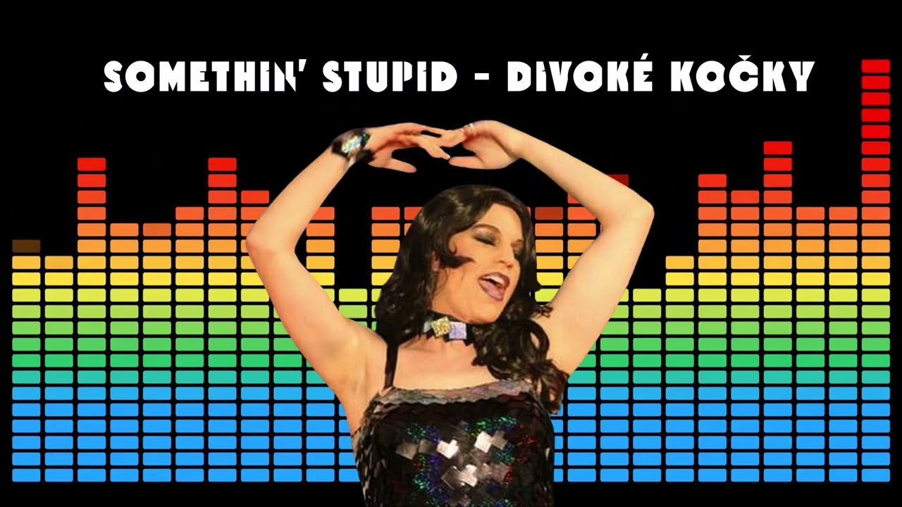 Somethin' Stupid - Divoké kočky