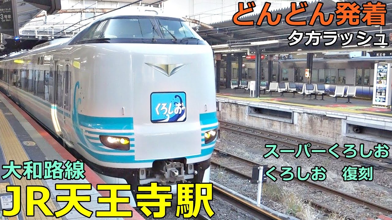 JR天王寺駅 (大和路線) 7🚃どんどん電車が発着！●特急 くろしお 復刻デザイン・はるか、大和路快速、区間快速、関空・紀州路快速 等（夕方ラッシュ）【JR西日本】