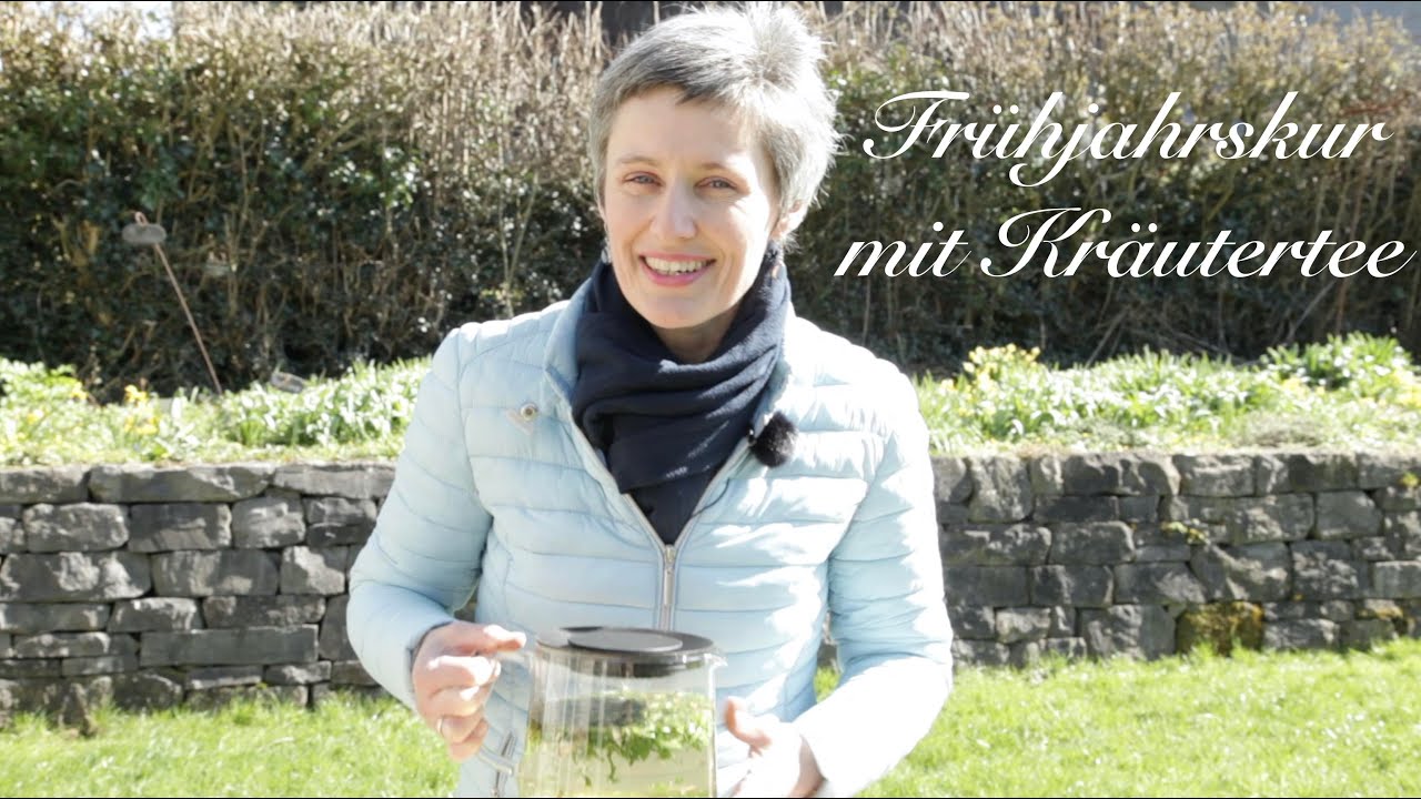 Frühjahrskur mit Kräutertee - Viriditas Heilpflanzen-Video