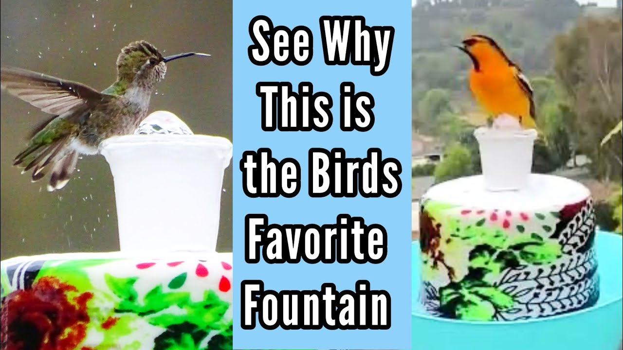BEST BIRD BATH EVER ❤️ See PROOF How To Make Hummingbird Water Fountain NO Solar, Sun or AC Needed