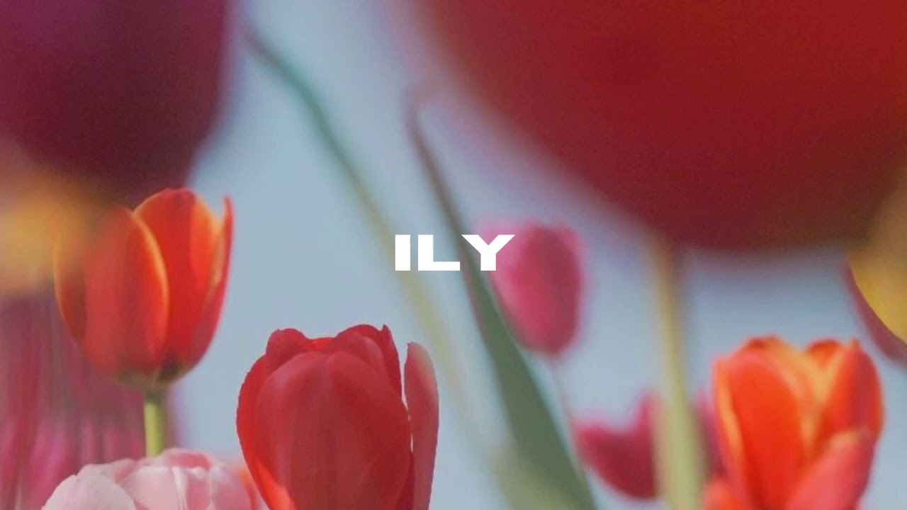 [FREE FOR PROFIT] Jeremy Zucker X Lauv Type Beat - 