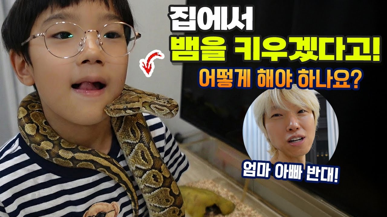 집에서 뱀을 키우겠다는 입양한 국민이! 살아있는 쥐도 줘야 함 ㅠㅠ 엄마 아빠 절대 반대! 진짜 어떻게 해야 하나요? 가족 일상 24시간 | 말이야와친구들