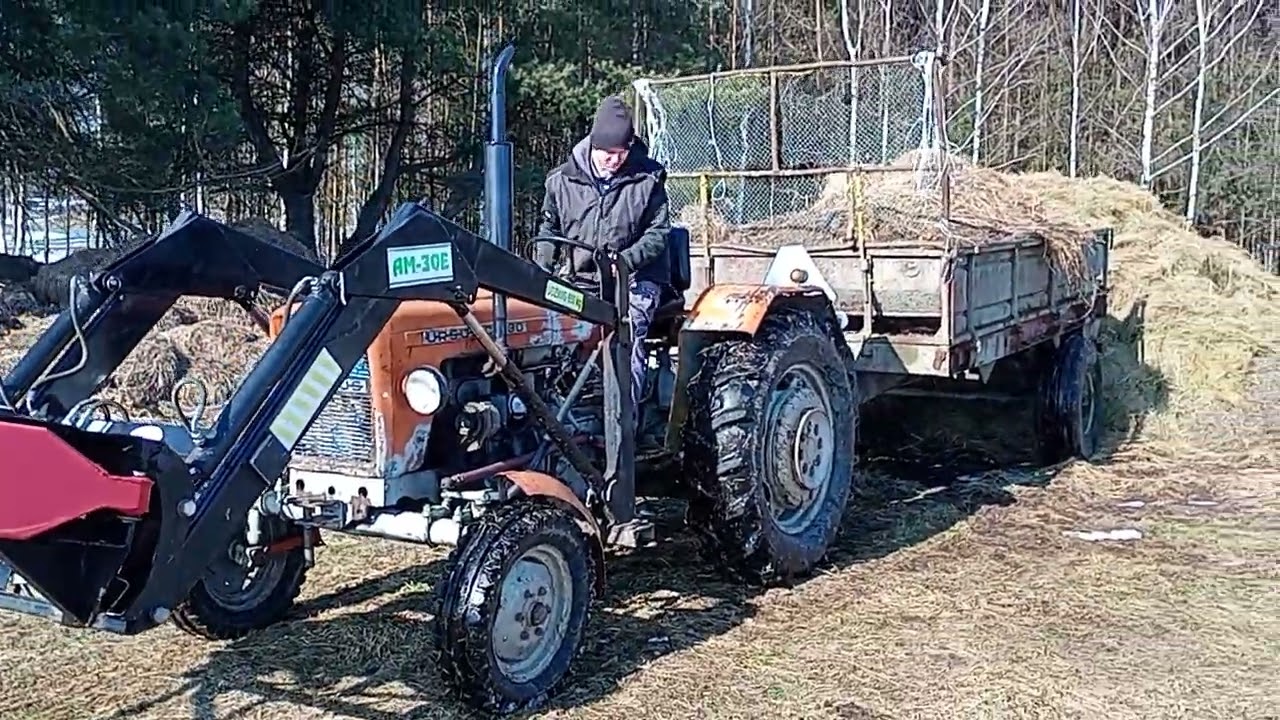 Wywóz siana ursusem c-330 