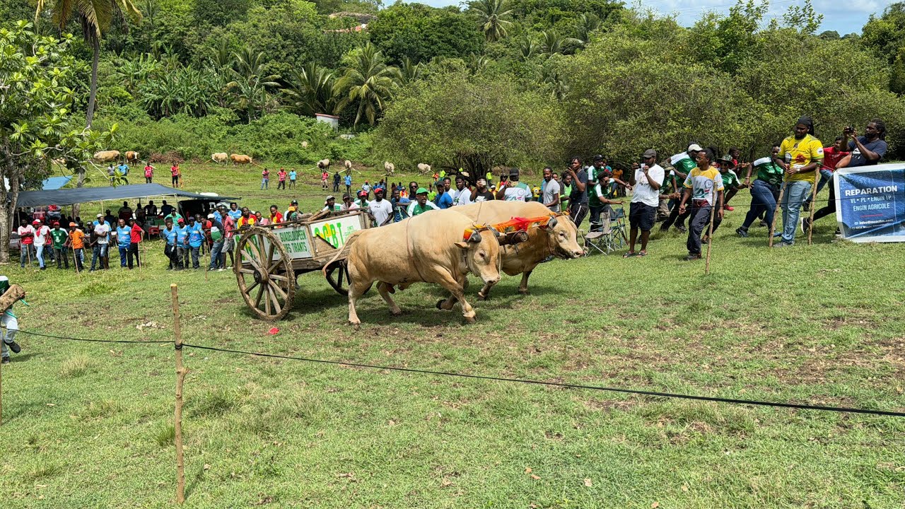 grand prix SALYERES -catégorie minimes -27/04/24