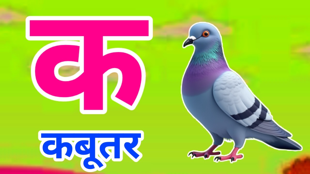 क से कबूतर | अ से अनार | Hindi Varnamala | A se Anar Aa se Aam Hindi Rhymes| Kids Learning Video 623