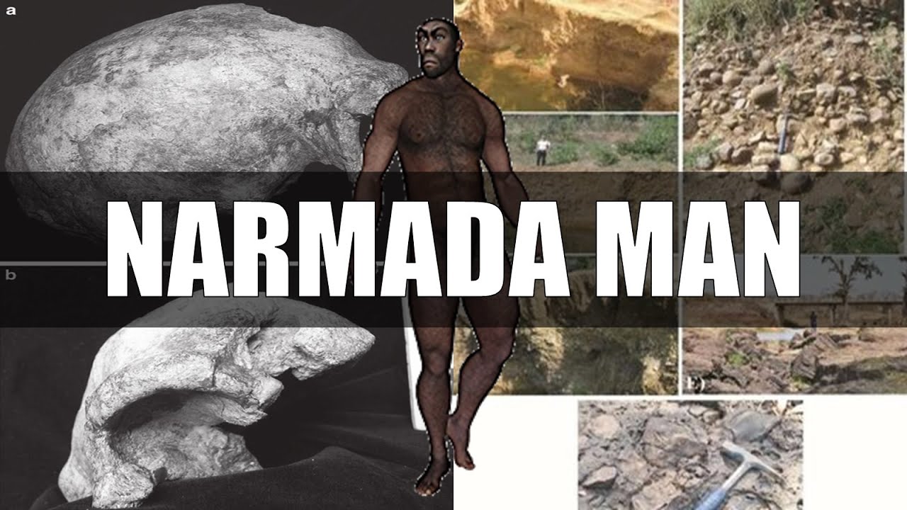 Narmada Man - ONE OF INDIA'S OLDEST HUMAN ANCESTOR