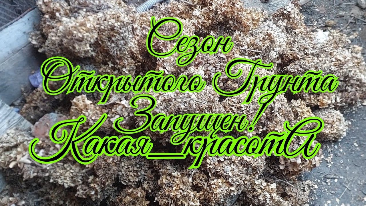 Сезон Открытого Грунта Запущен!22.02.26г