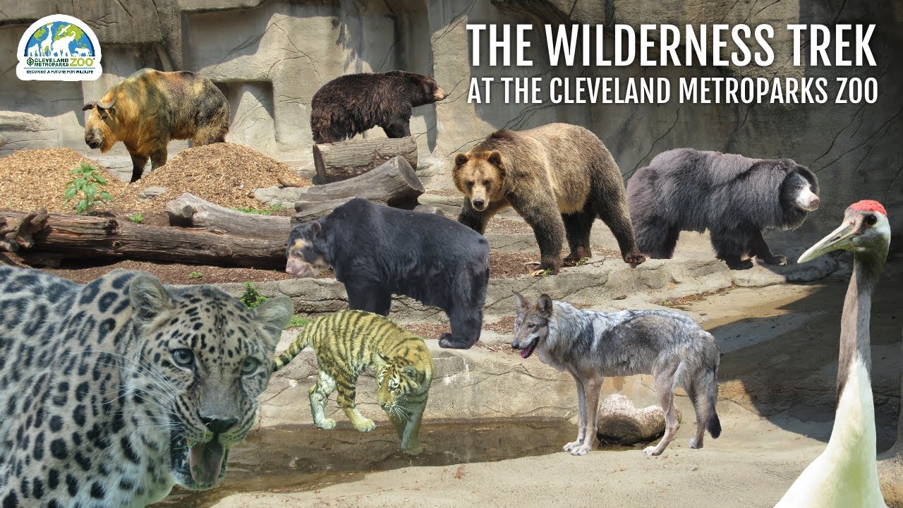 The Wilderness Trek at the Cleveland Metroparks Zoo | Exhibit Tours Ep. 45