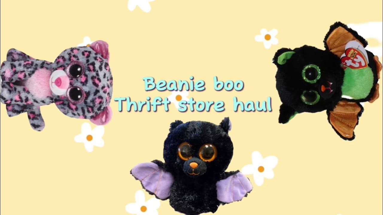 Huge Beanie Boo Thrift Store Haul~Boo and Birds