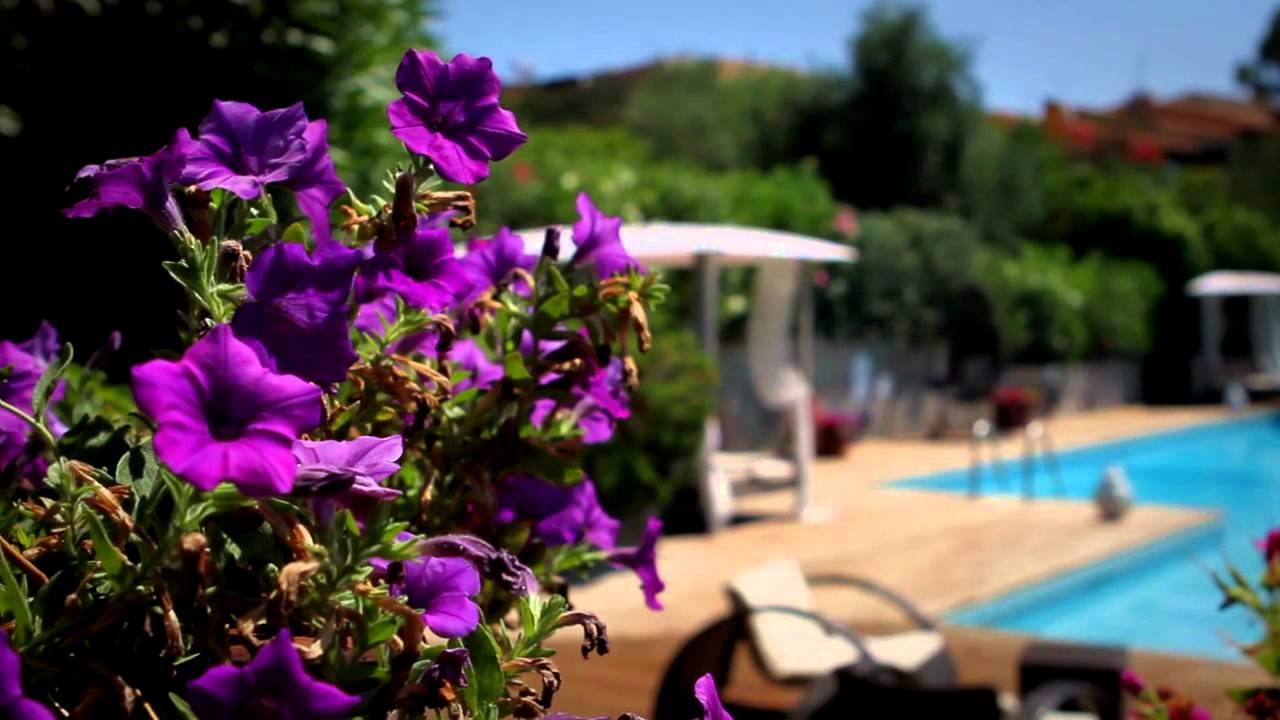 ALBARUJA Hotel
