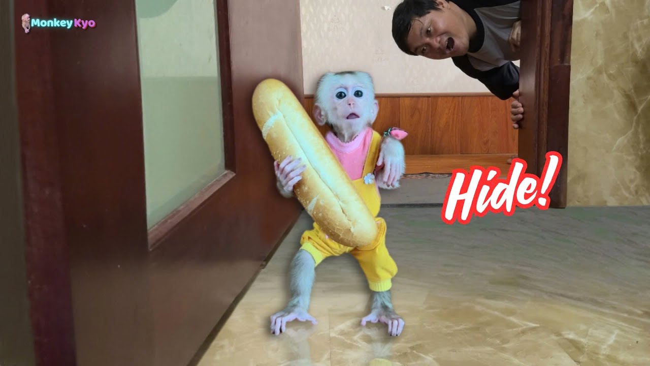 Kyo is puzzled when her baguette suddenly disappears mysteriously!