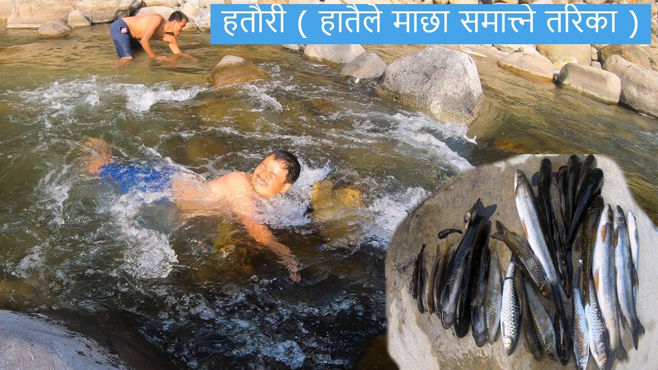 Bare Hand Fishing Village Technique | हतौरी ( हातैले माछा समात्त्ने तरिका )