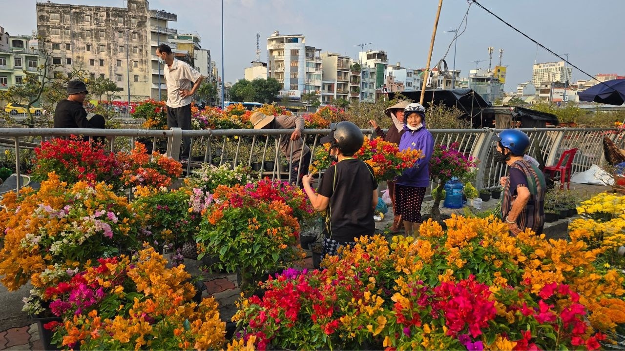 Mai thơm nhiều cánh, hoa giấy sai bông bền màu bán chạy, Bến Bình Đông Sài Gòn nườm nượp người