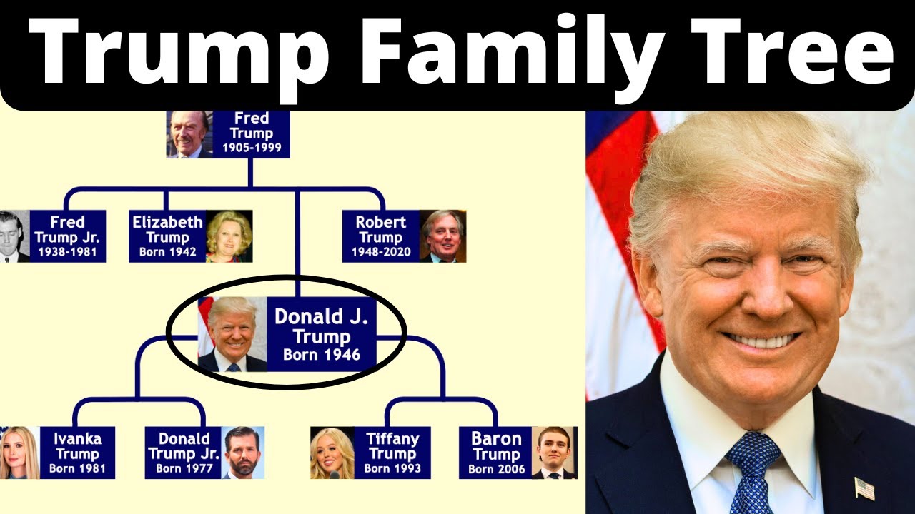 Генеалогическое древо Дональда Трампа | Объяснение немецких корней Трампа