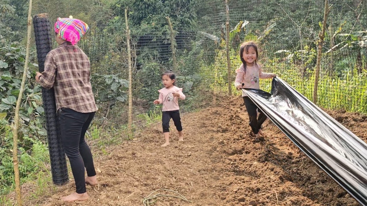Chi's mother and Chi used netting to fence off the Chi and made raised beds to grow melons.