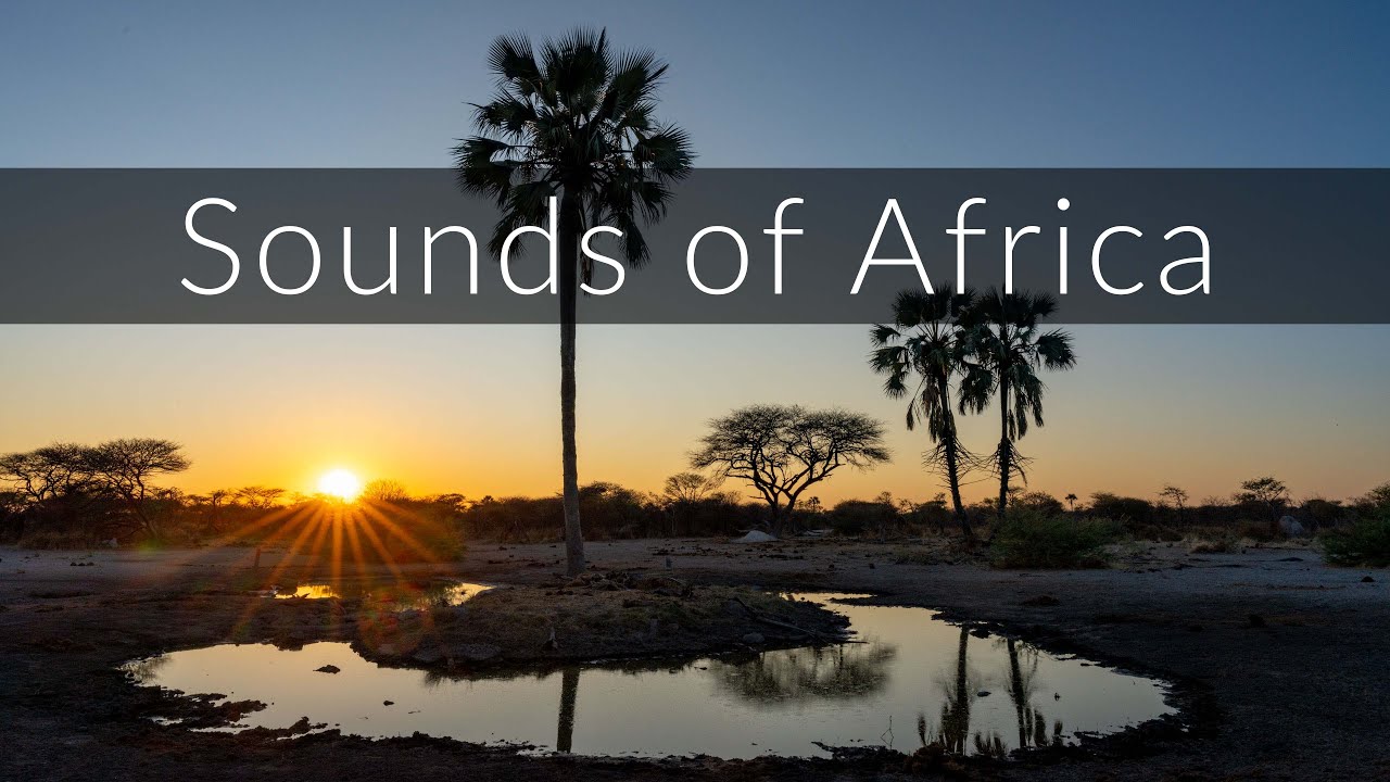 The relaxing sounds of the African savannah at dawn