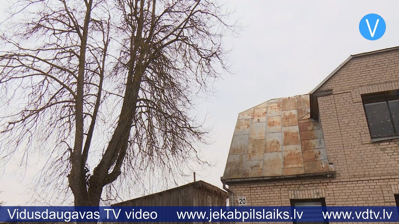 Aktuāli par koku zāģēšanu un stādīšanu Jēkabpils novadā