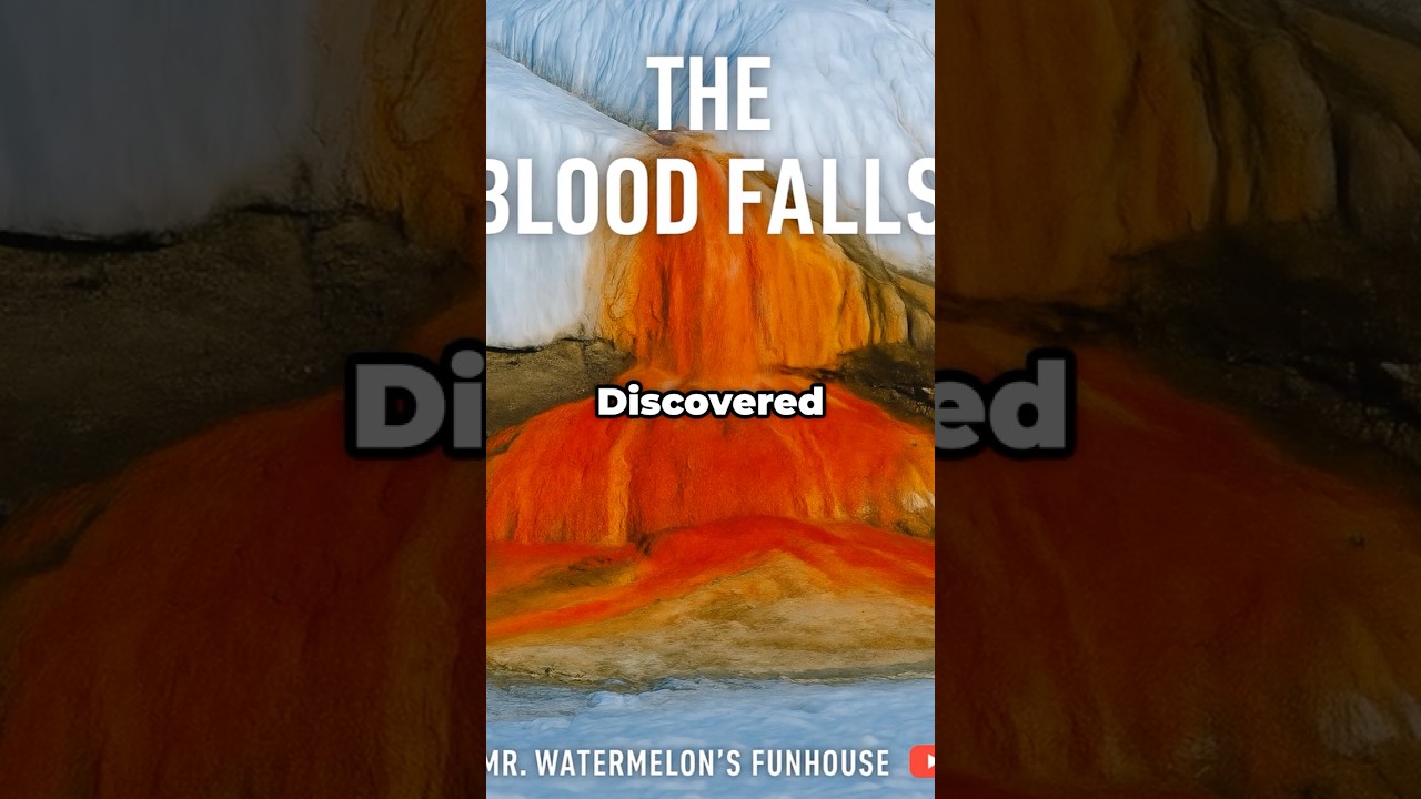 The Blood Falls of Antarctica: Why Is This Glacier Bleeding?